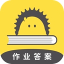 云开·全站APP官方网站